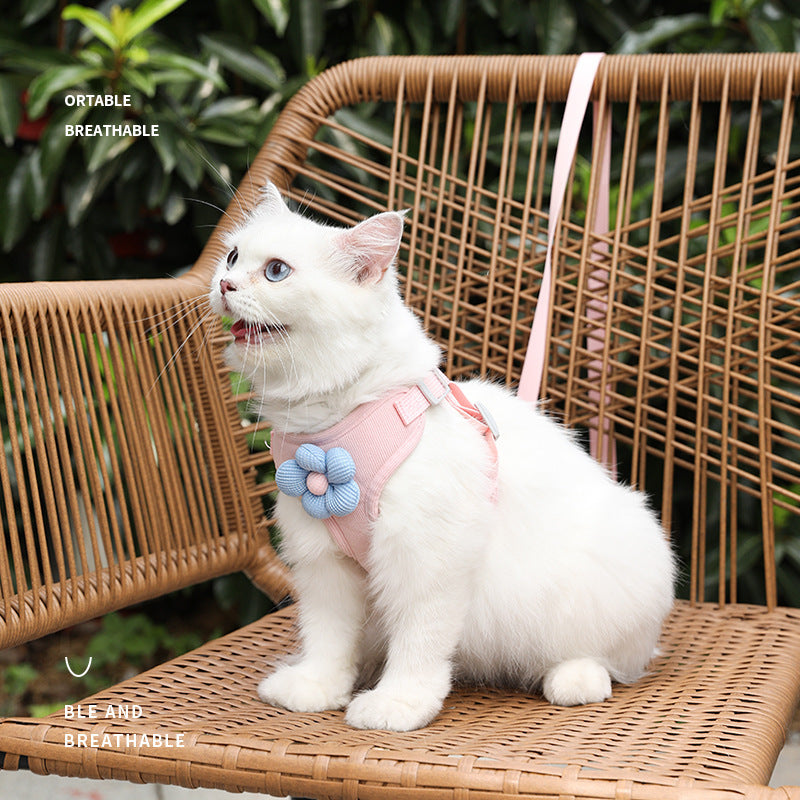 Leash, Collar & Harness (Cats)